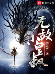 无敌小皇叔写啥
